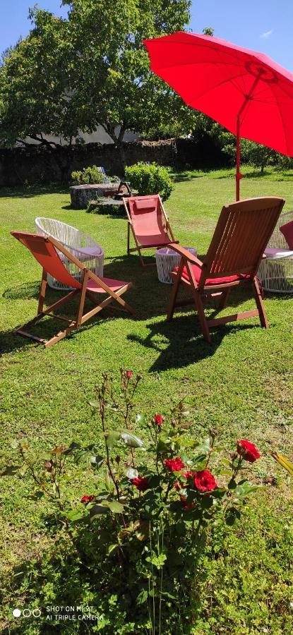 L'Aubinoise Bed & Breakfast Saint-Aubin-de-Luigné Екстериор снимка
